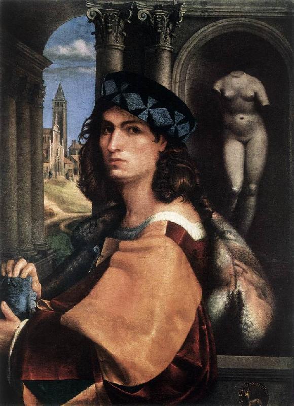 CAPRIOLO, Domenico Portrait of a Man df